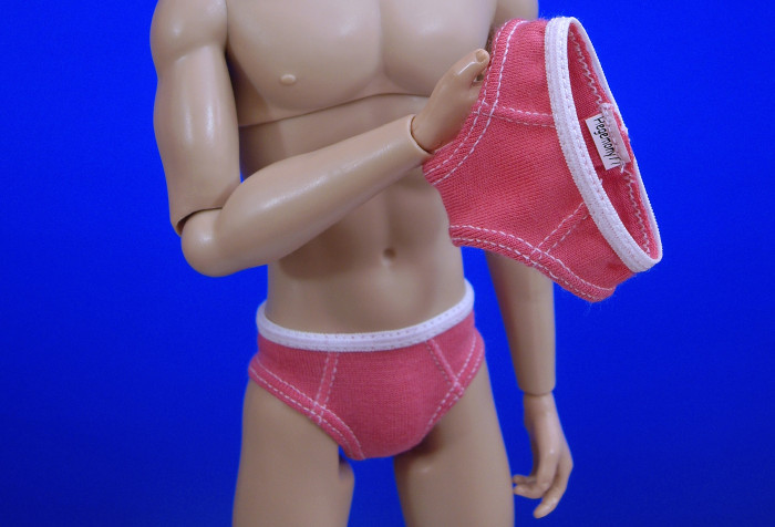 briefs